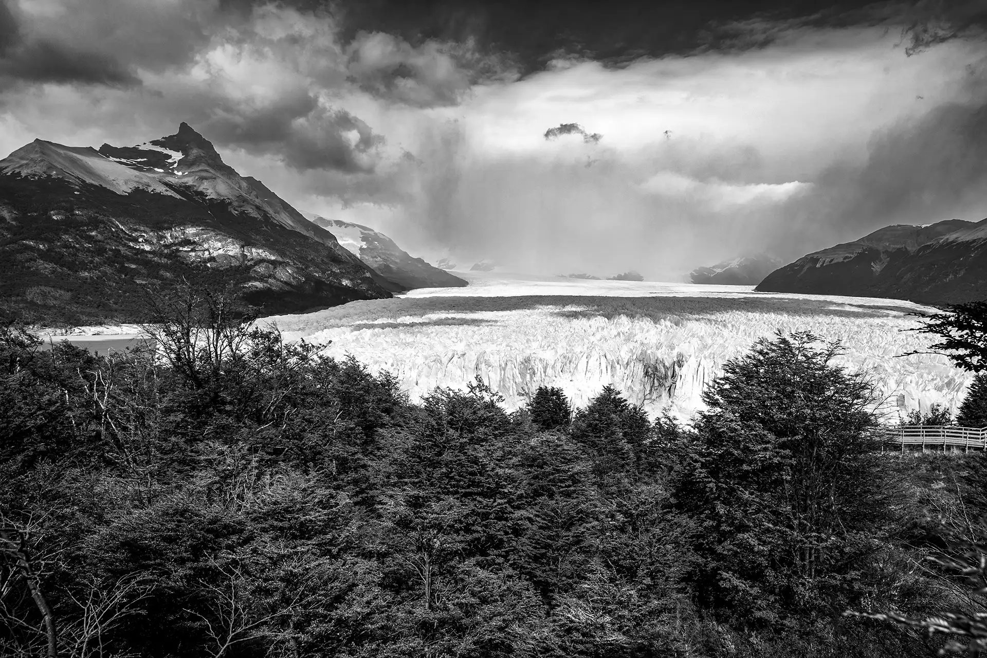 Gonçalo Cunha de Sá