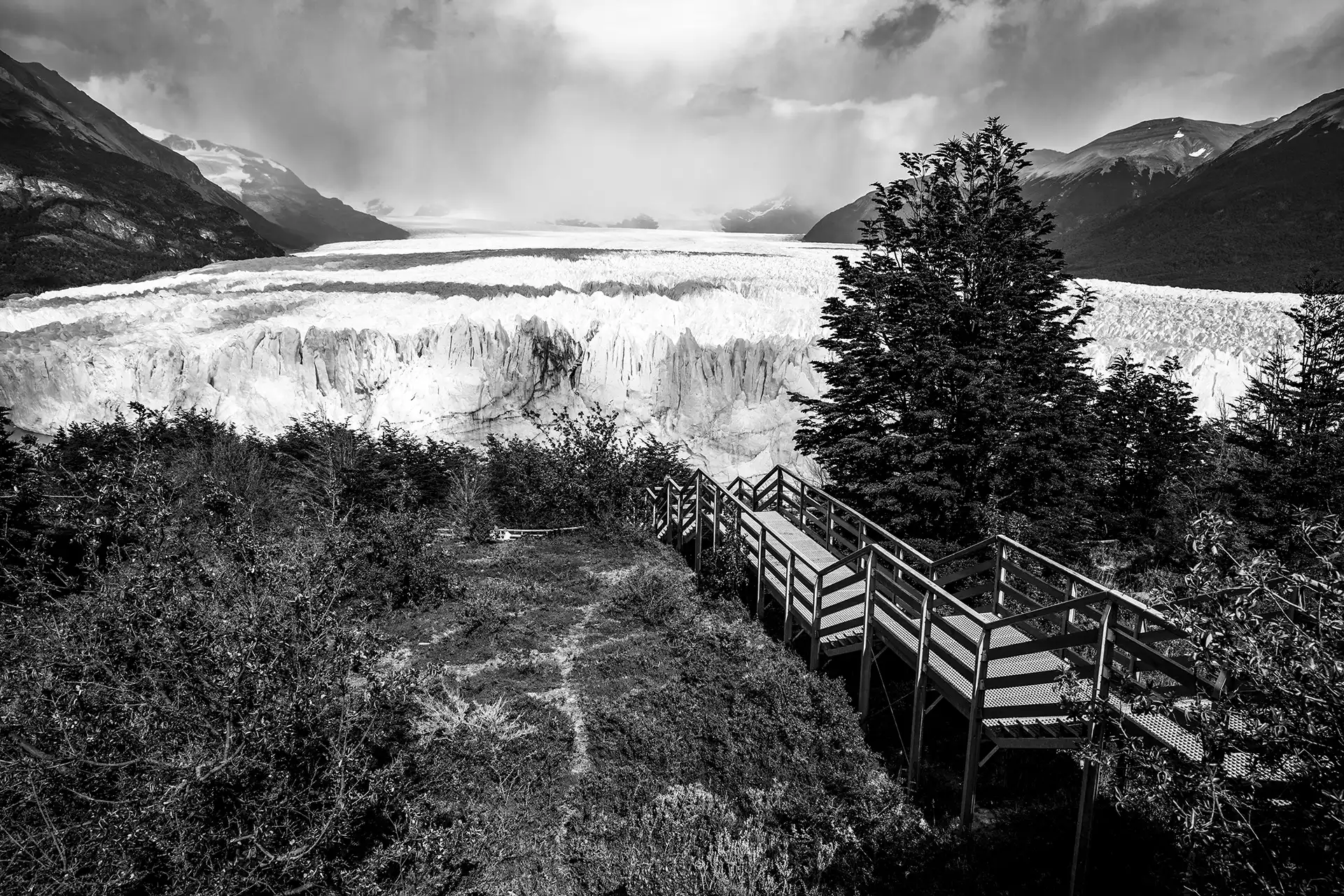 Gonçalo Cunha de Sá