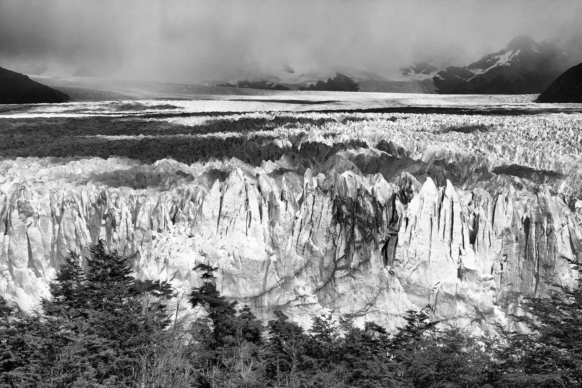 Gonçalo Cunha de Sá