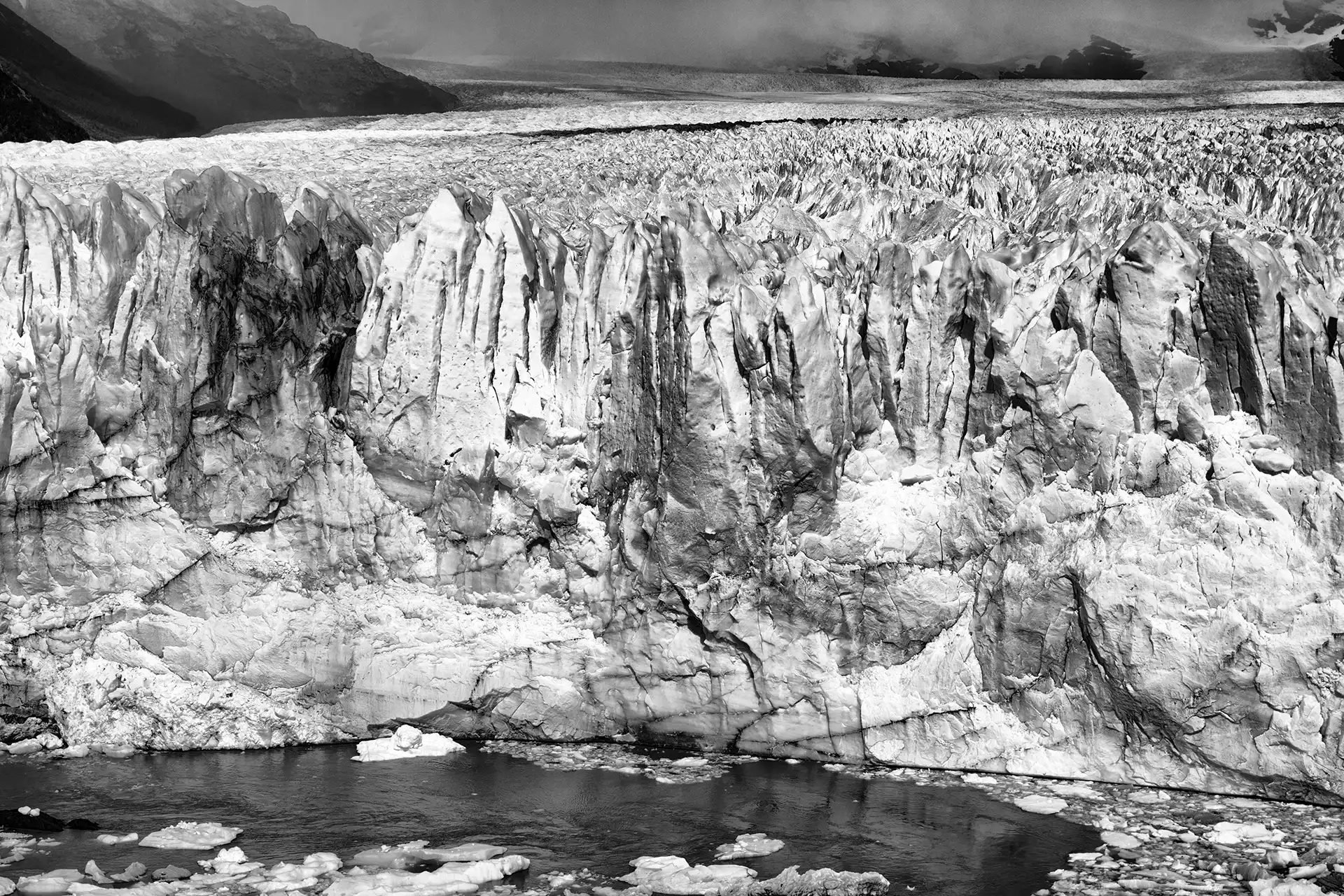 Gonçalo Cunha de Sá