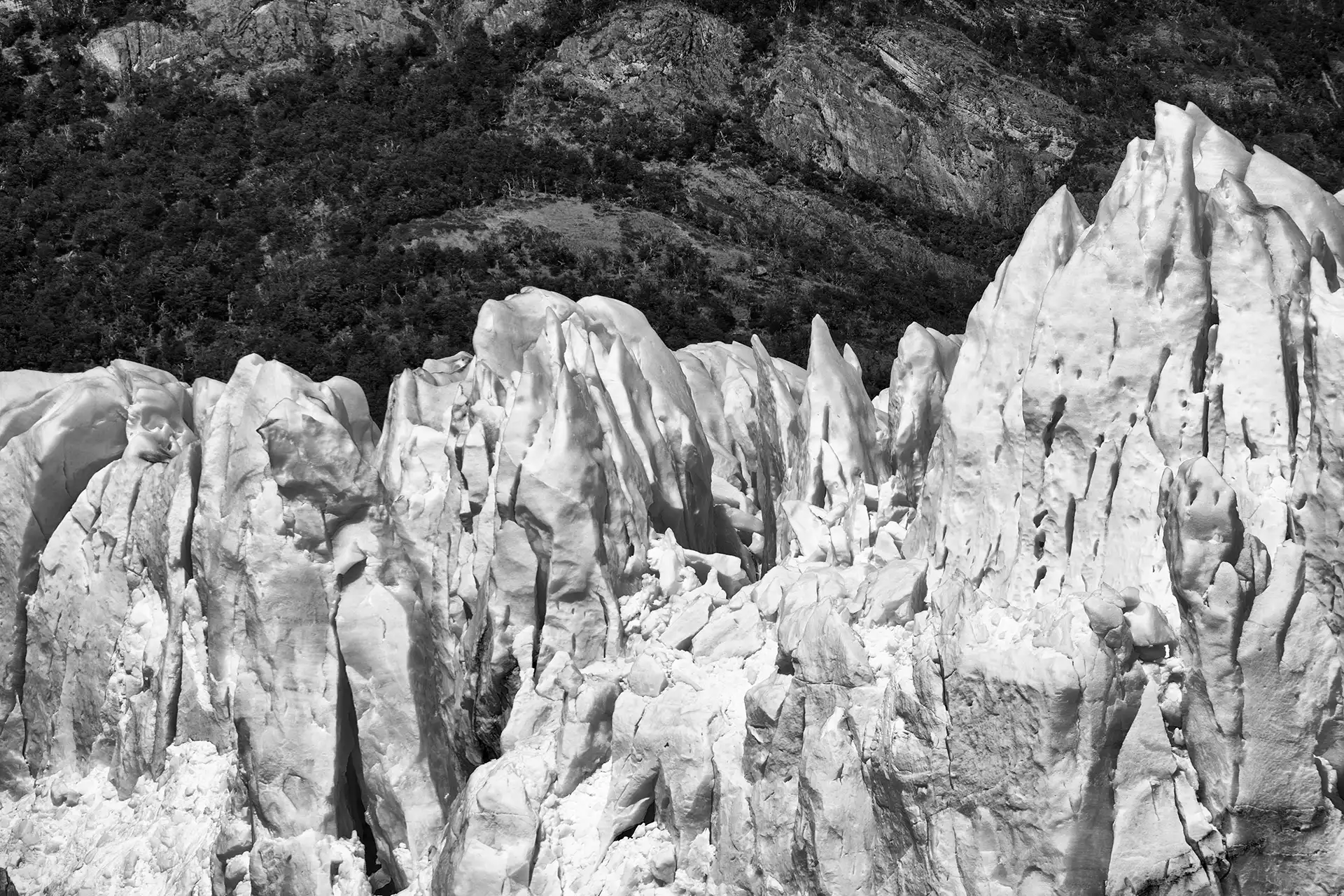 Gonçalo Cunha de Sá