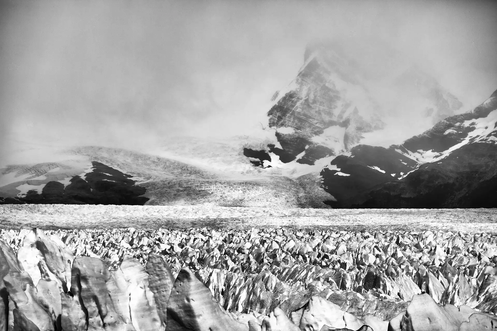 Gonçalo Cunha de Sá