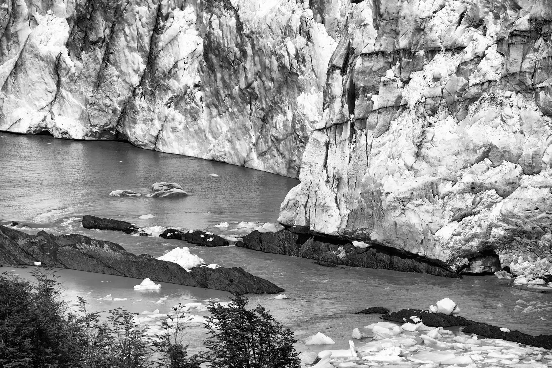 Gonçalo Cunha de Sá