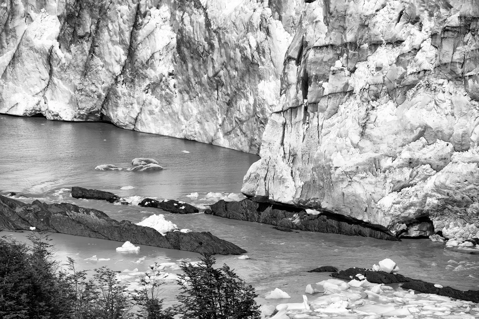 Gonçalo Cunha de Sá