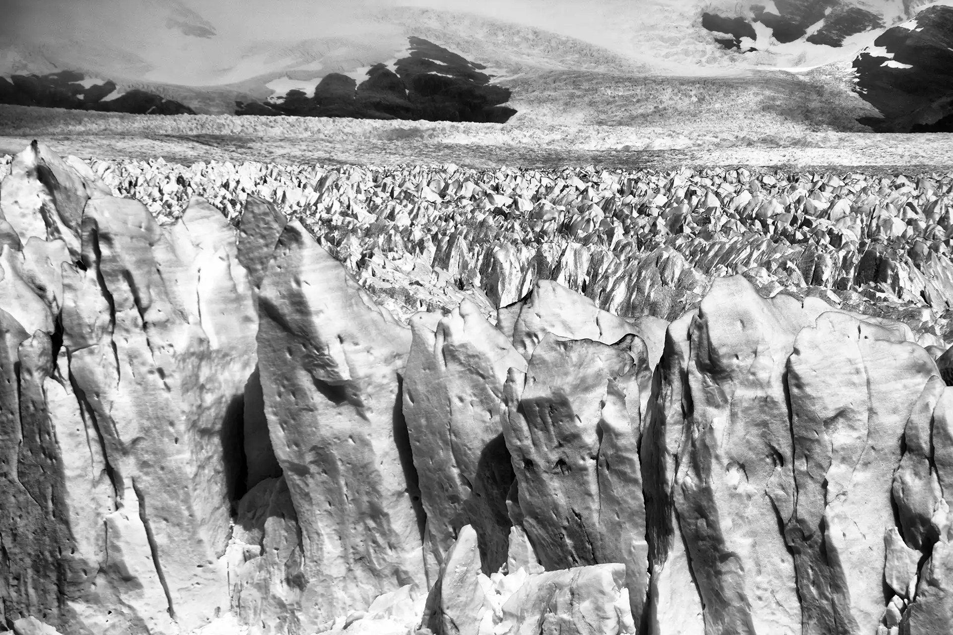 Gonçalo Cunha de Sá