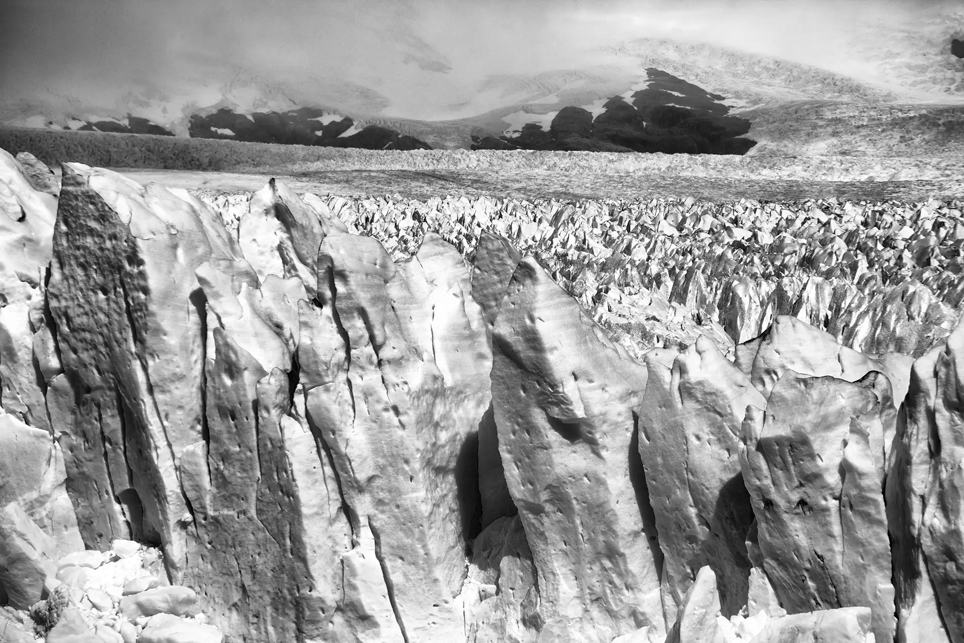 Gonçalo Cunha de Sá