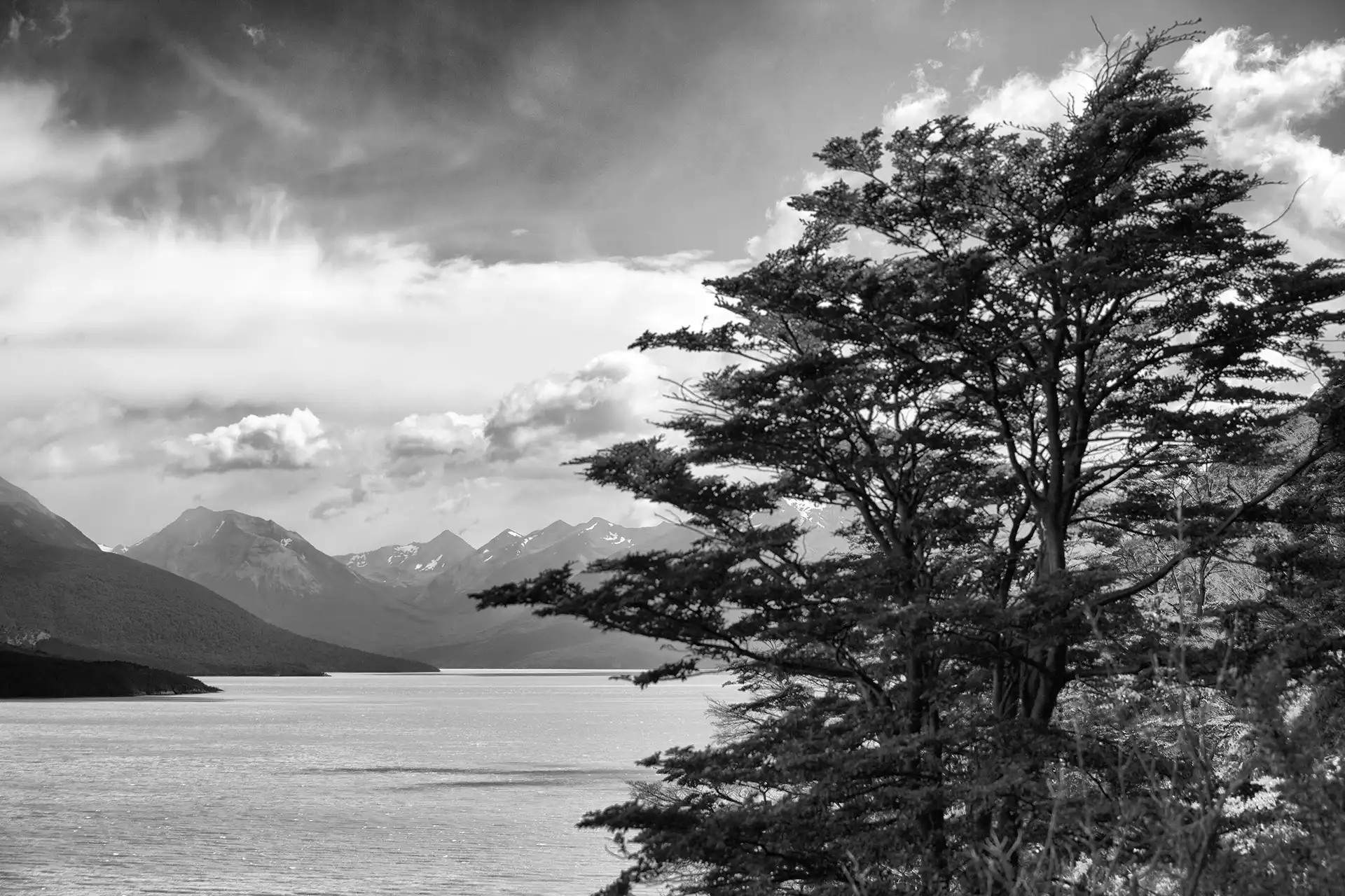 Gonçalo Cunha de Sá