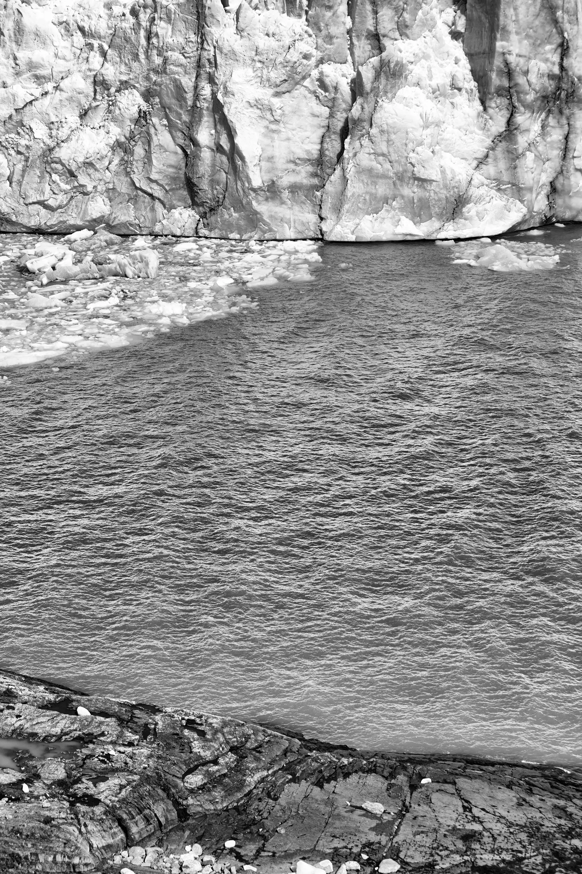 Gonçalo Cunha de Sá