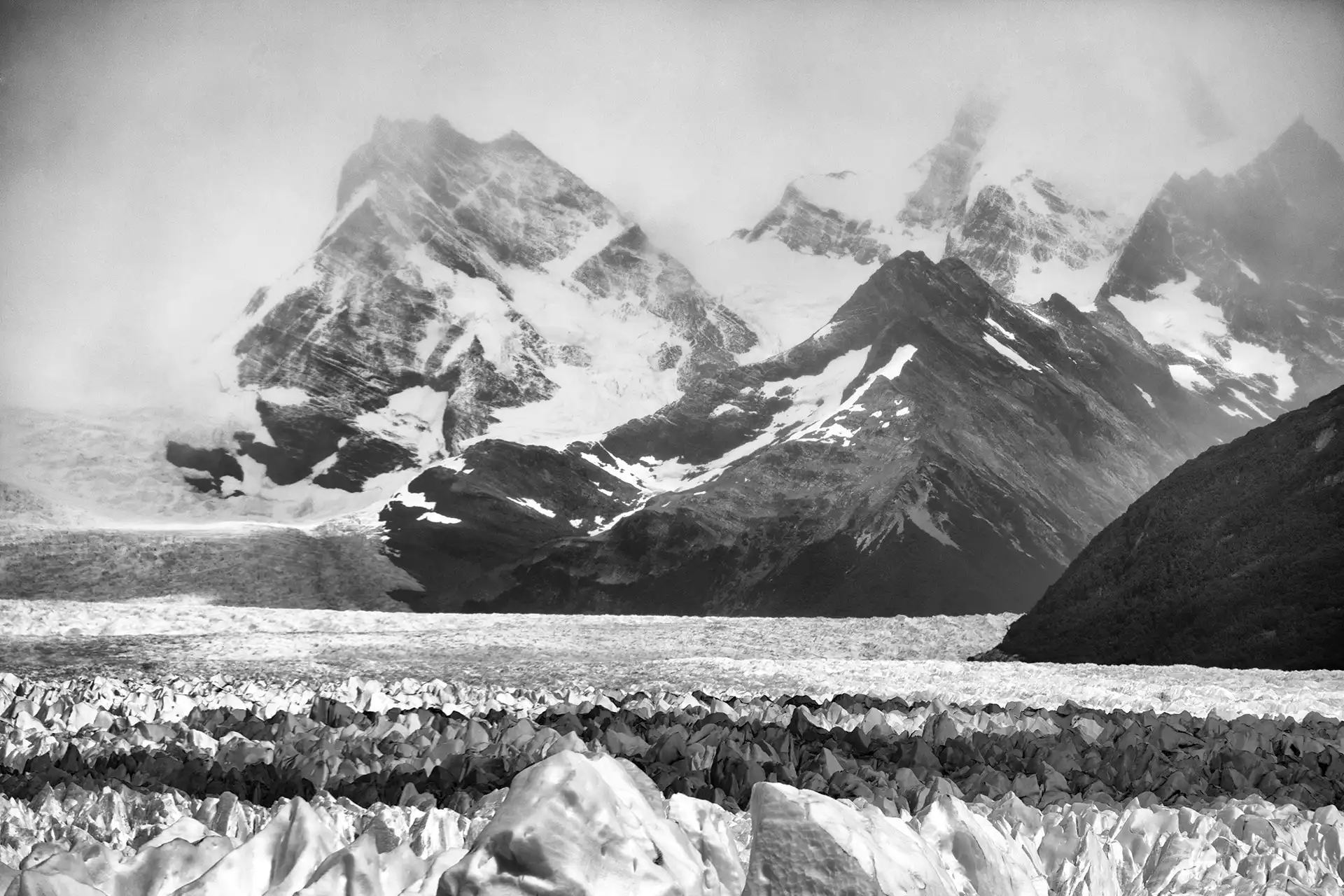 Gonçalo Cunha de Sá