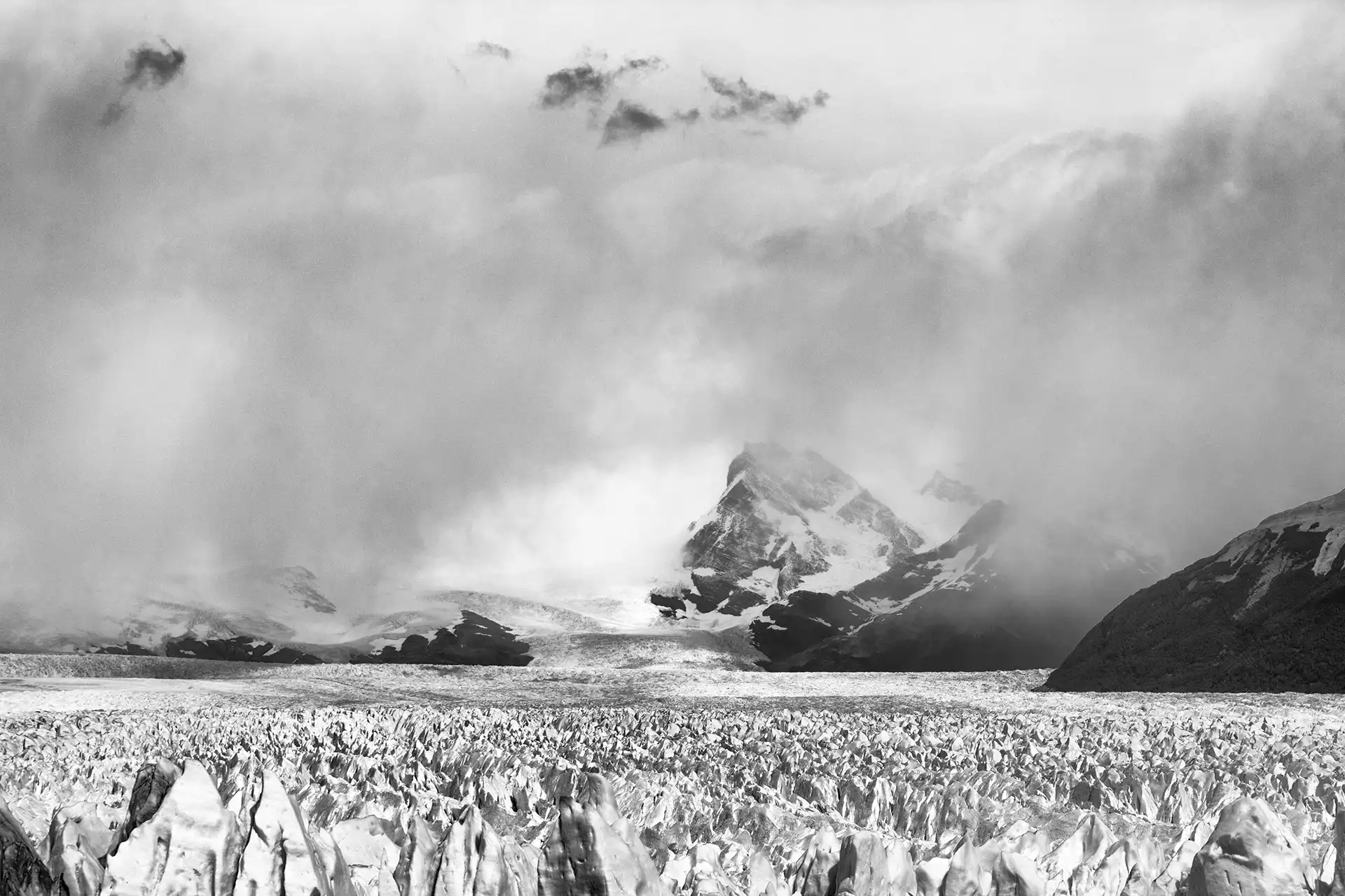Gonçalo Cunha de Sá
