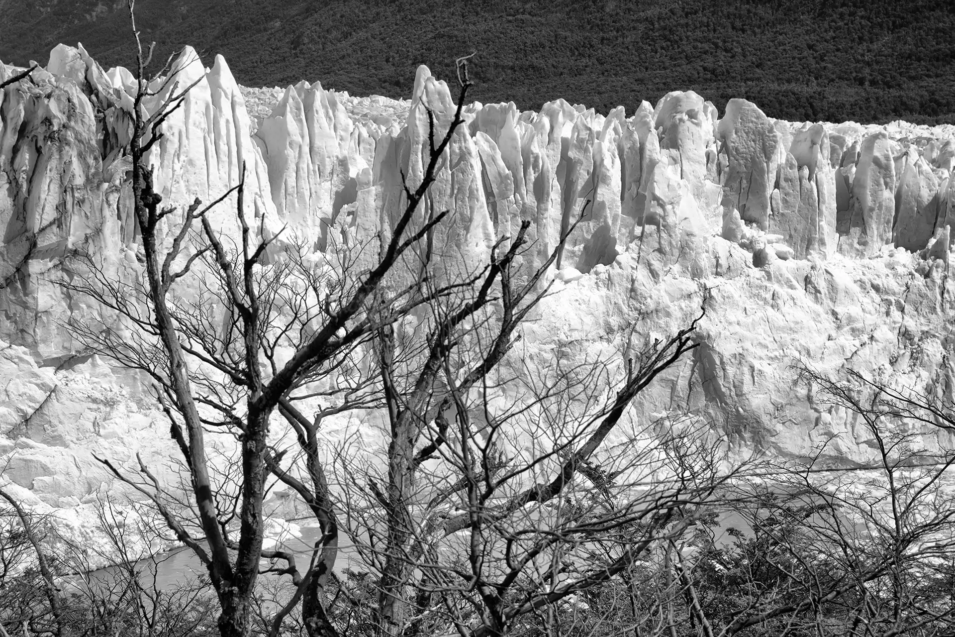 Gonçalo Cunha de Sá