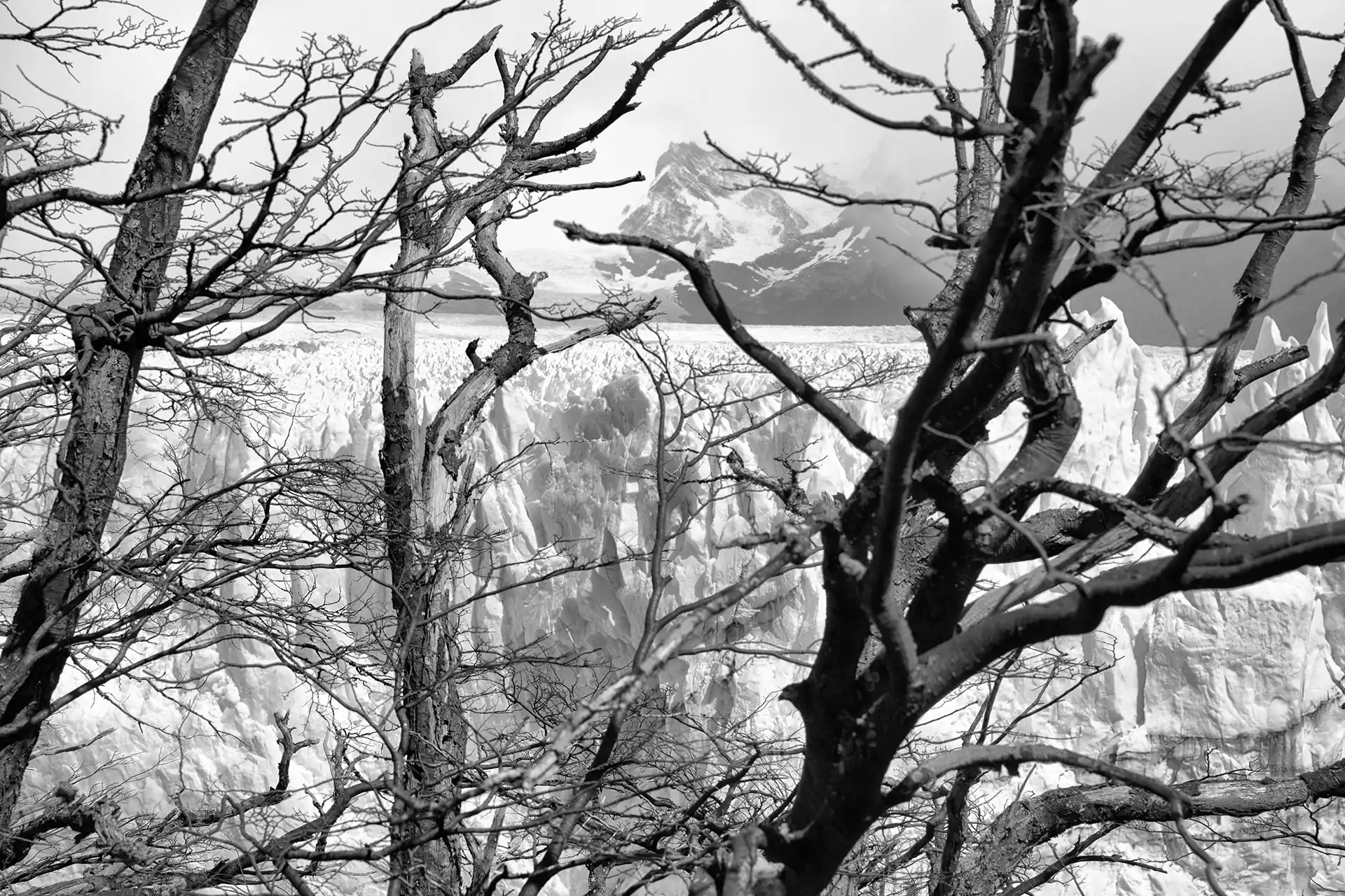 Gonçalo Cunha de Sá