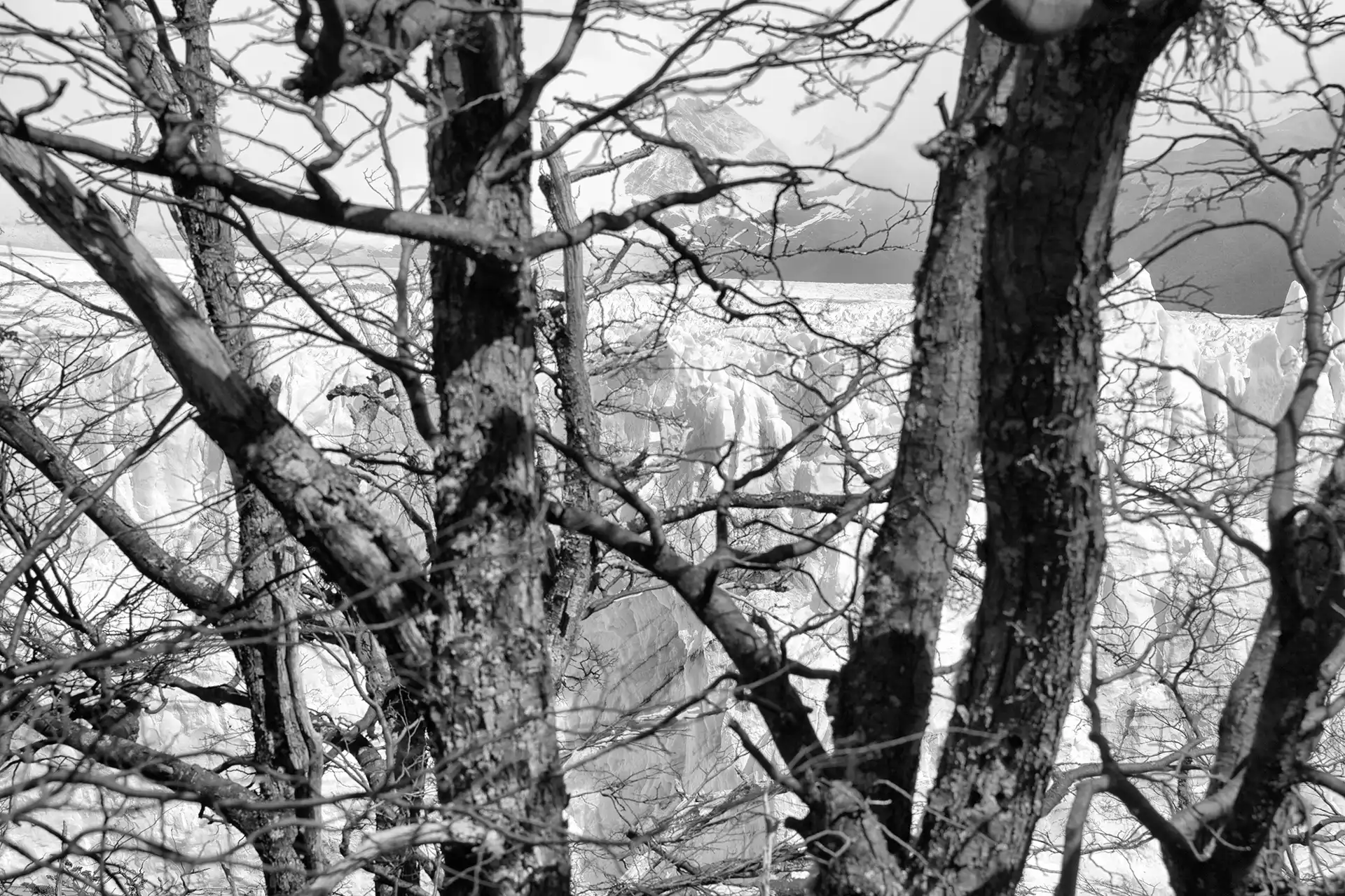 Gonçalo Cunha de Sá