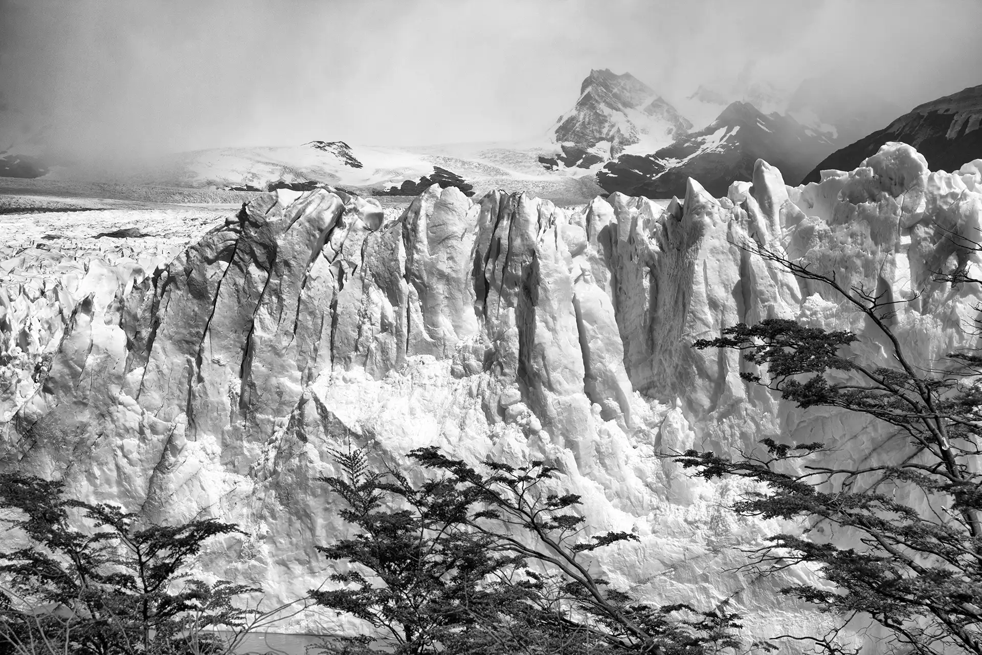 Gonçalo Cunha de Sá