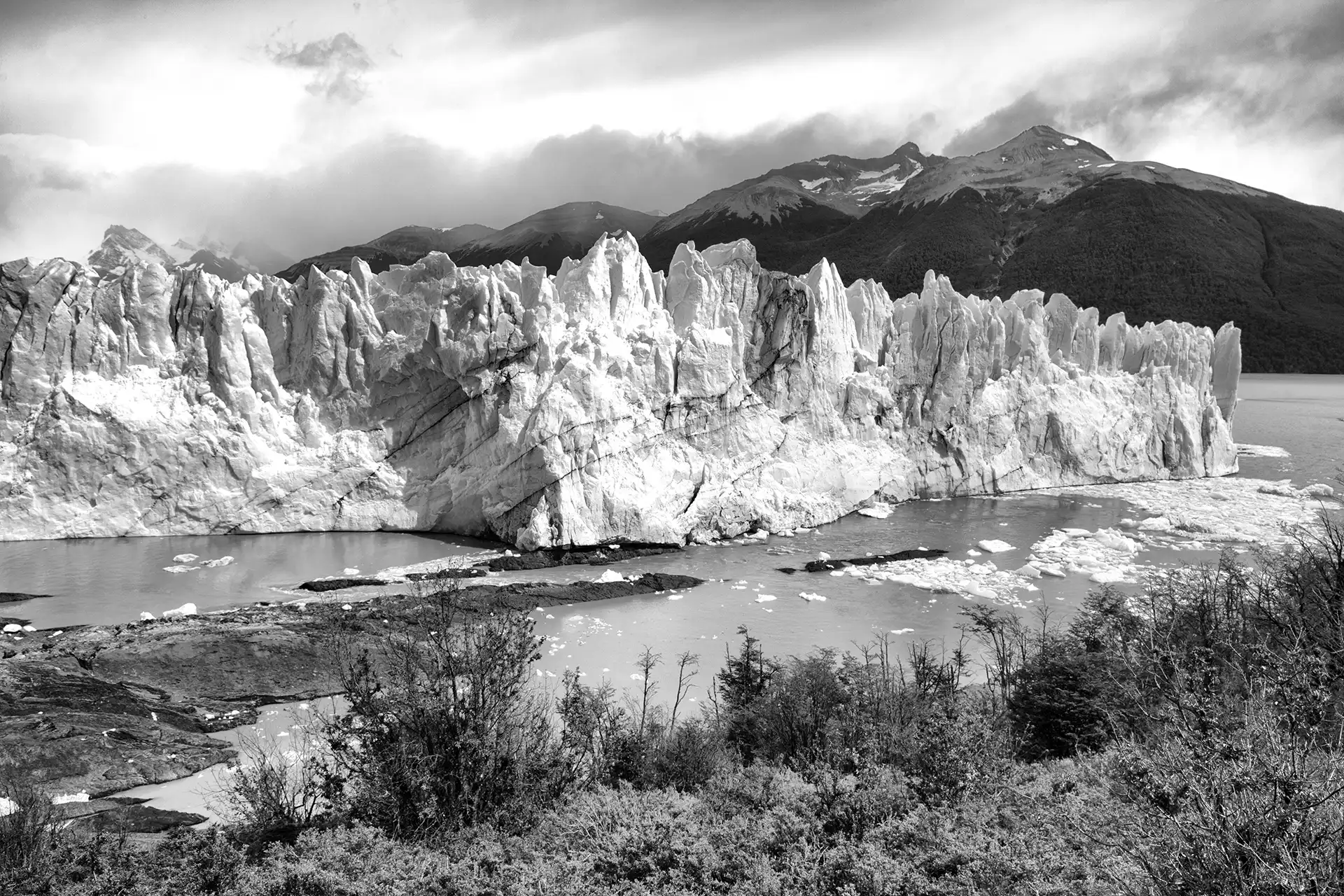 Gonçalo Cunha de Sá