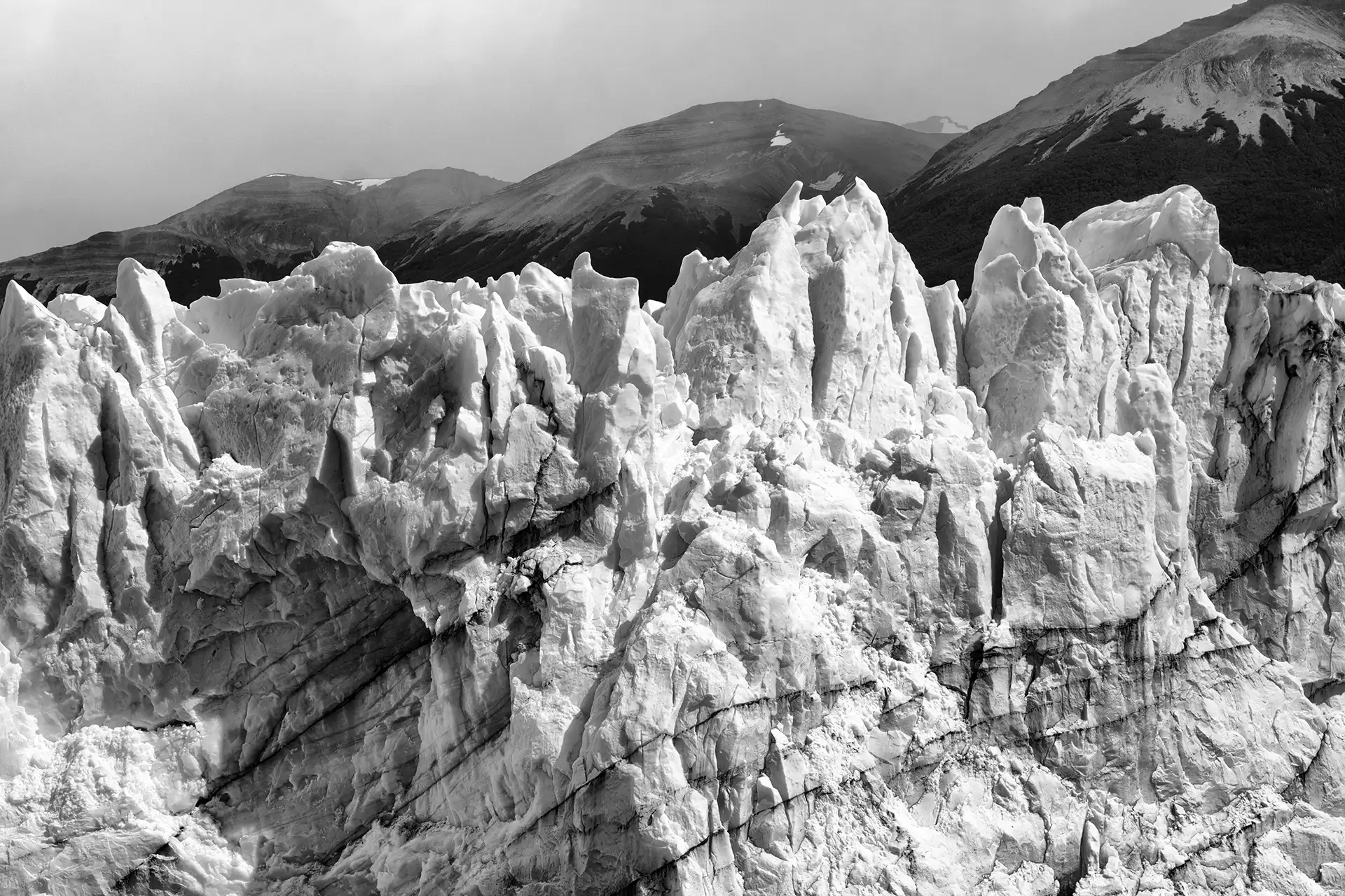 Gonçalo Cunha de Sá