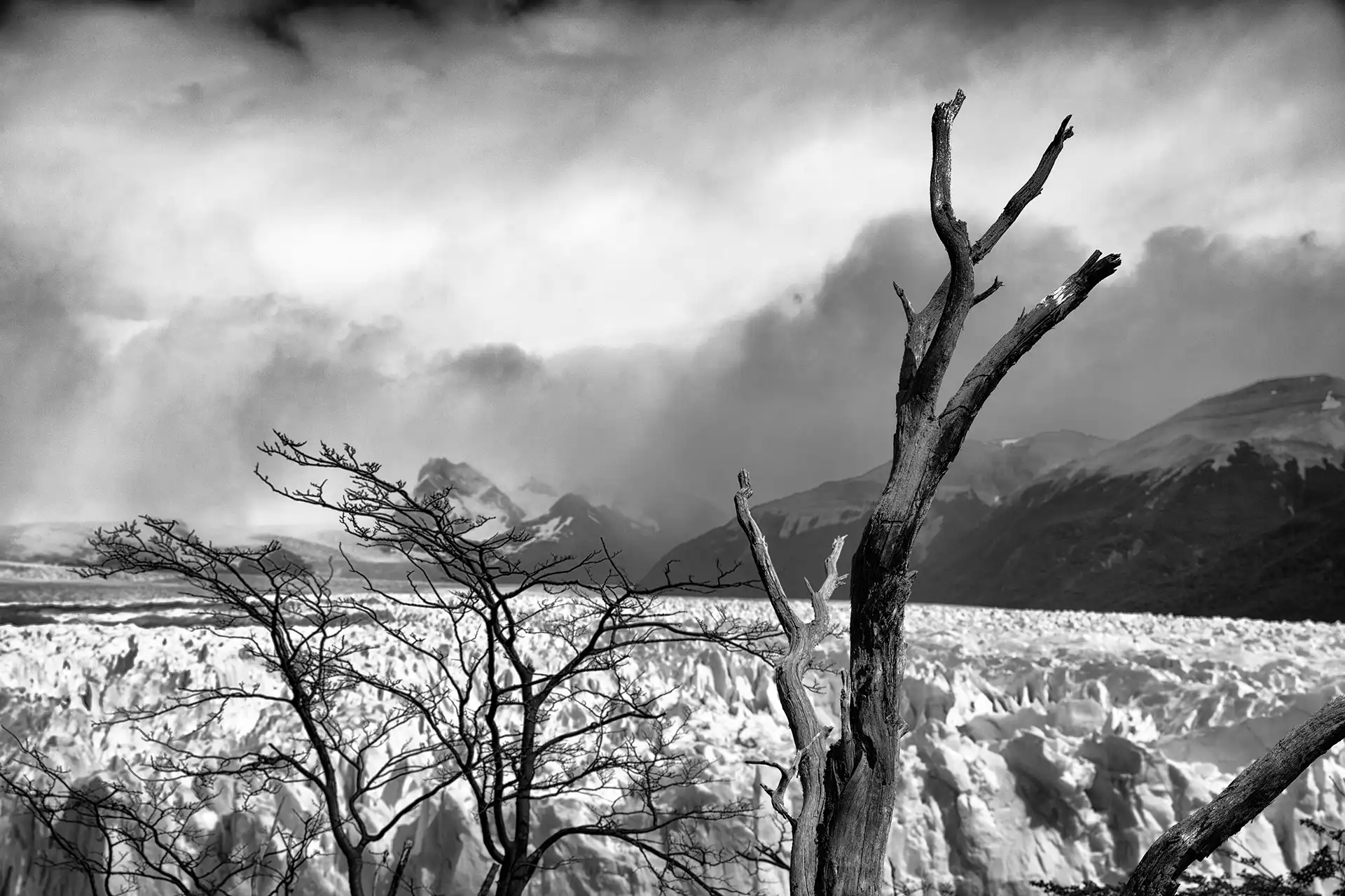 Gonçalo Cunha de Sá