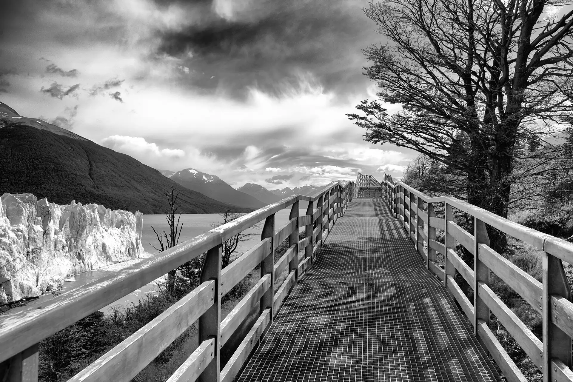 Gonçalo Cunha de Sá