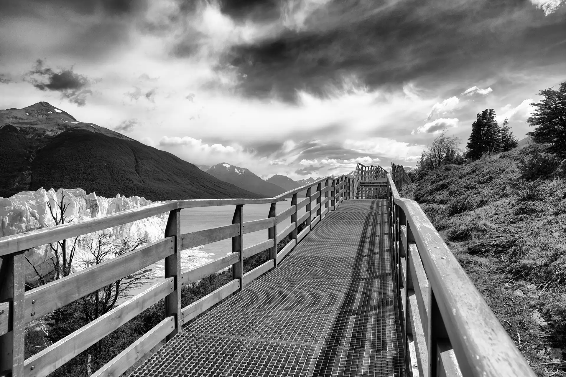 Gonçalo Cunha de Sá