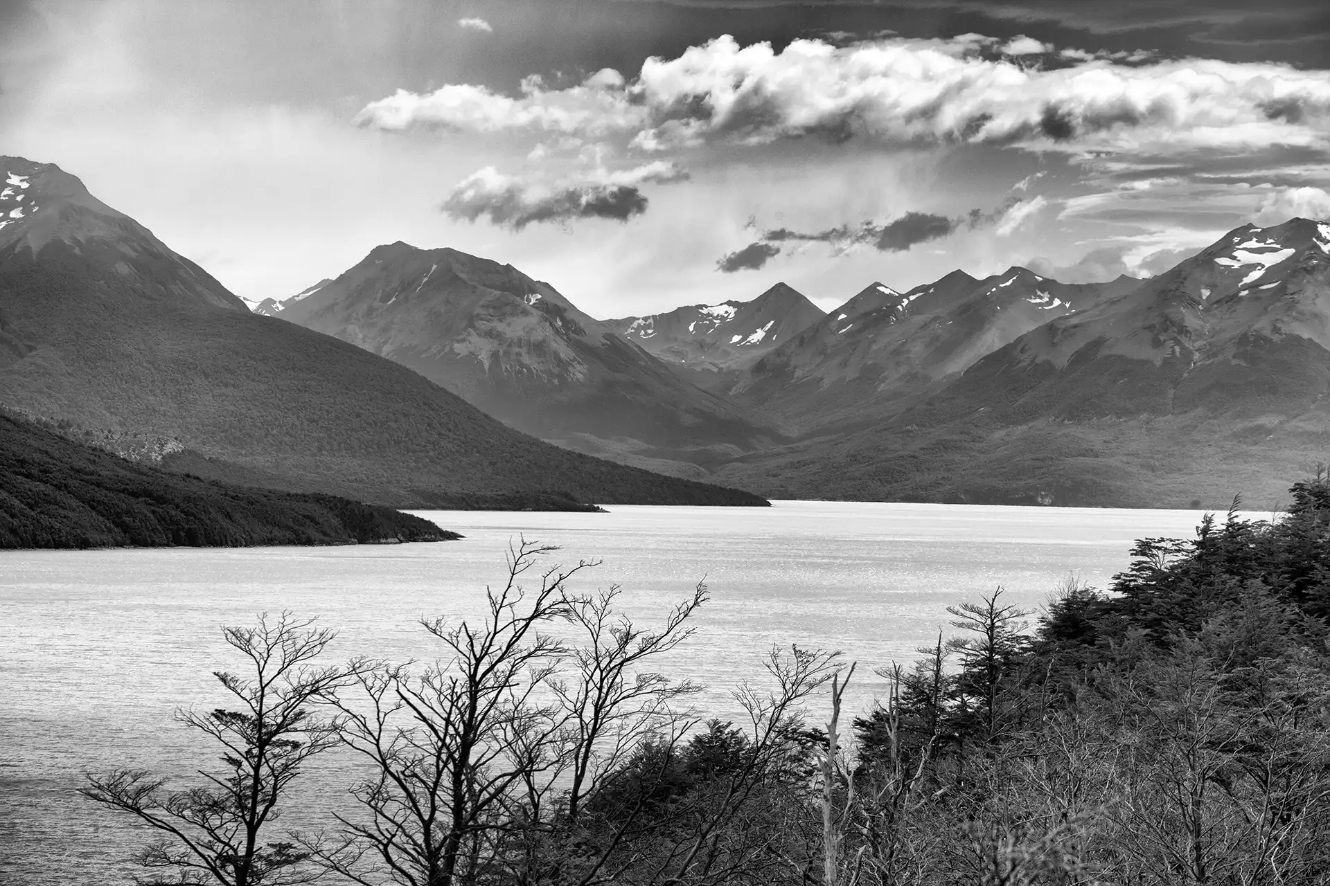 Gonçalo Cunha de Sá