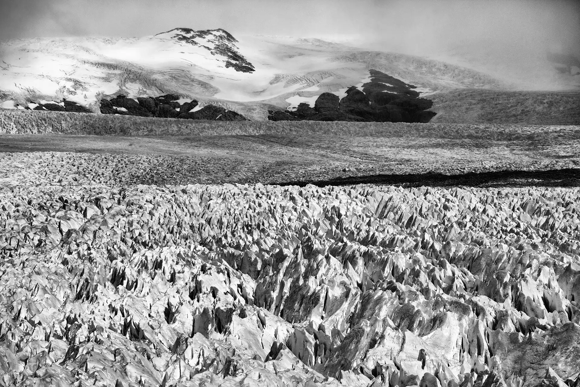 Gonçalo Cunha de Sá