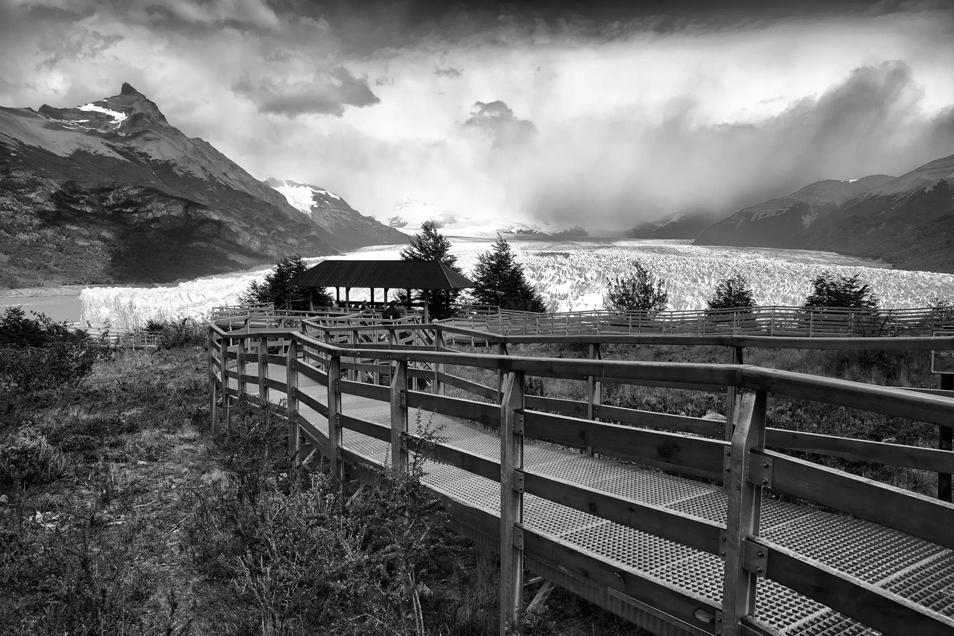 Gonçalo Cunha de Sá