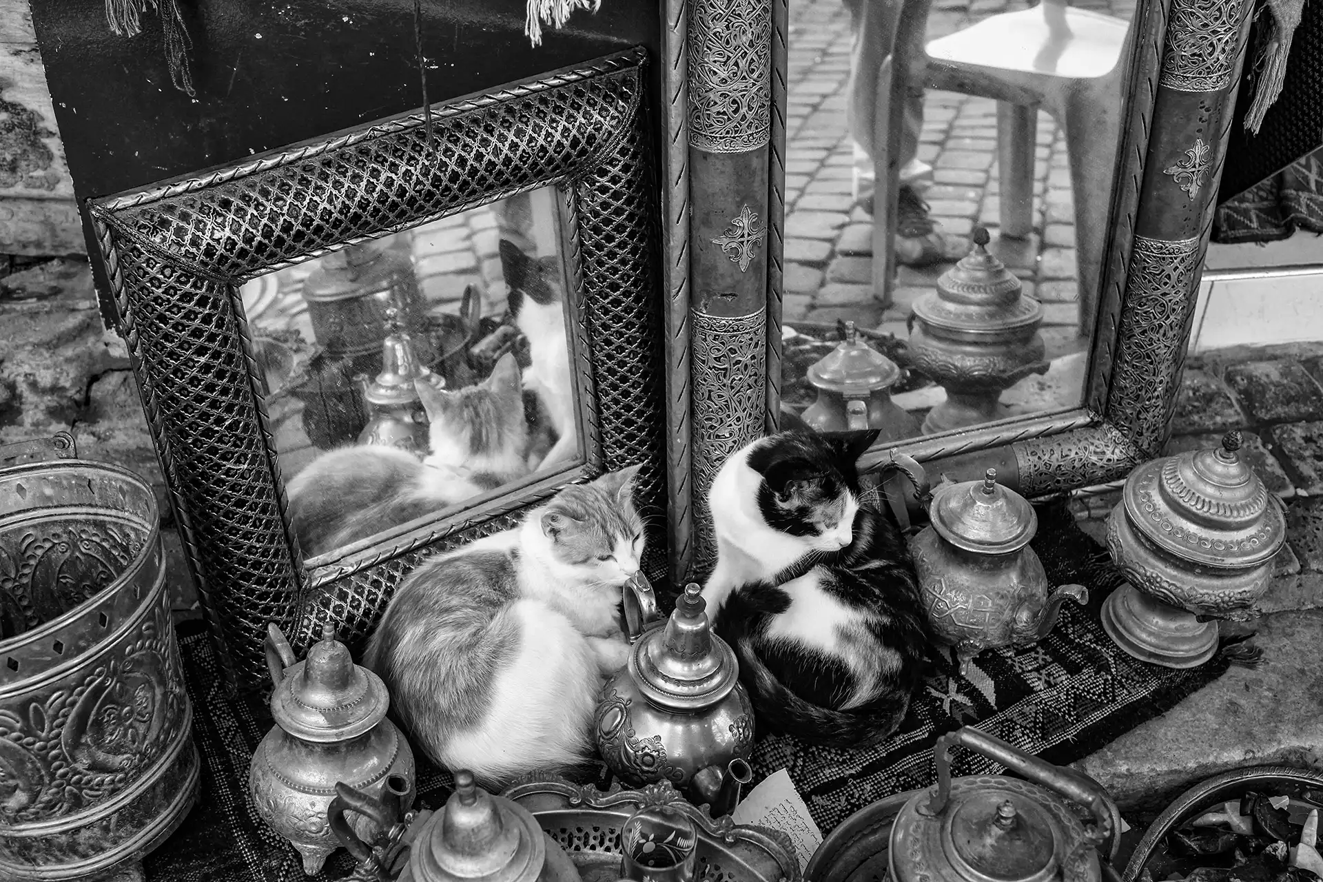 Gonçalo Cunha de Sá