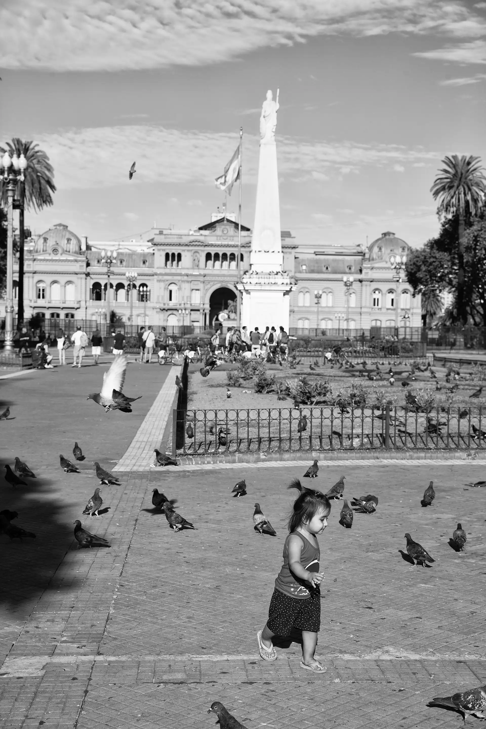 Gonçalo Cunha de Sá