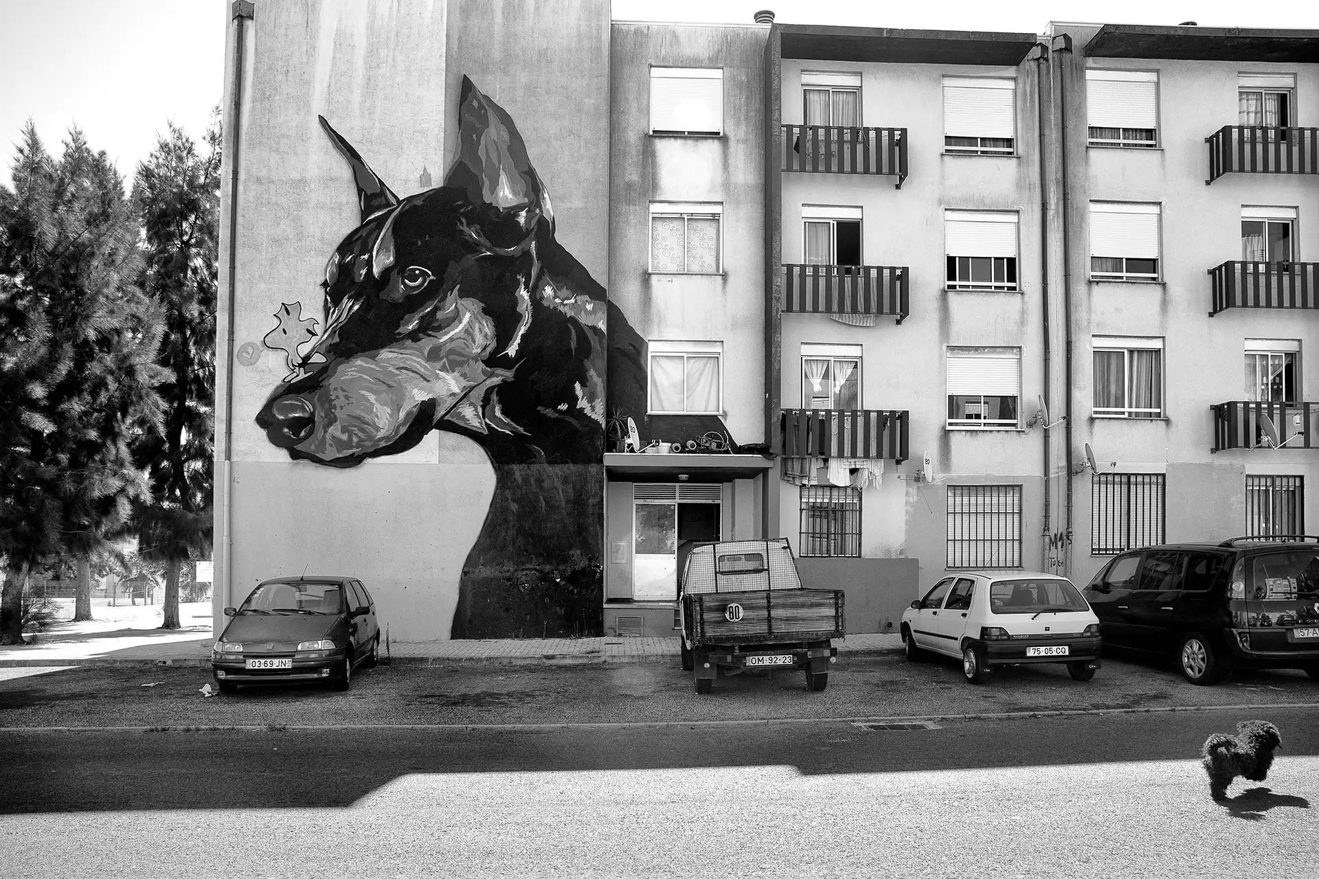 Gonçalo Cunha de Sá