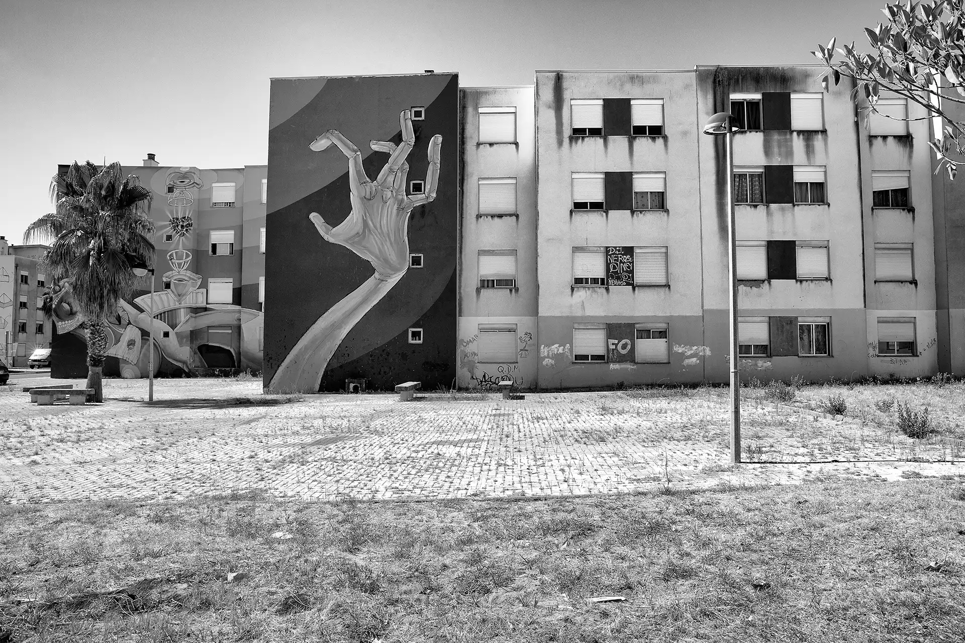 Gonçalo Cunha de Sá