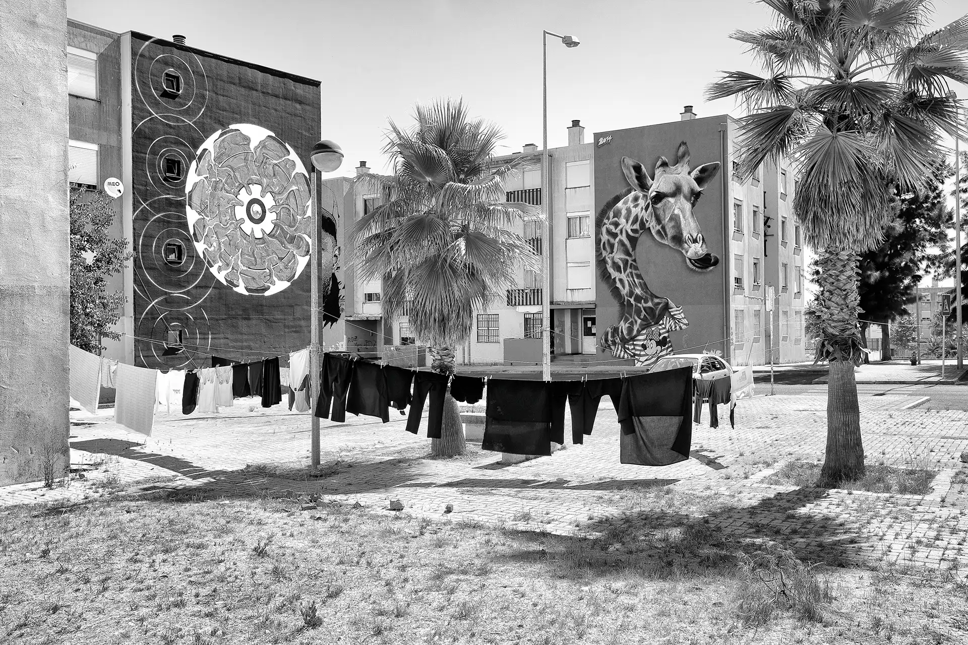 Gonçalo Cunha de Sá