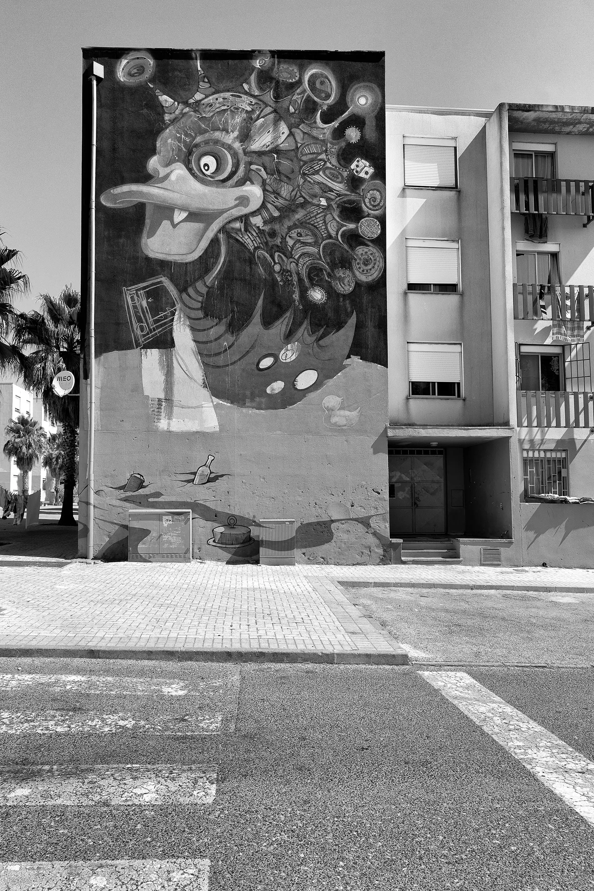 Gonçalo Cunha de Sá