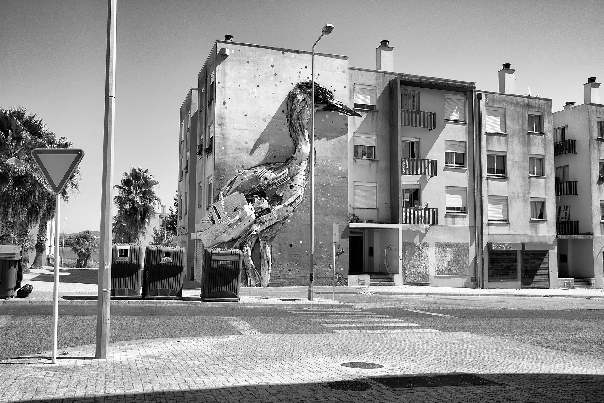 Gonçalo Cunha de Sá