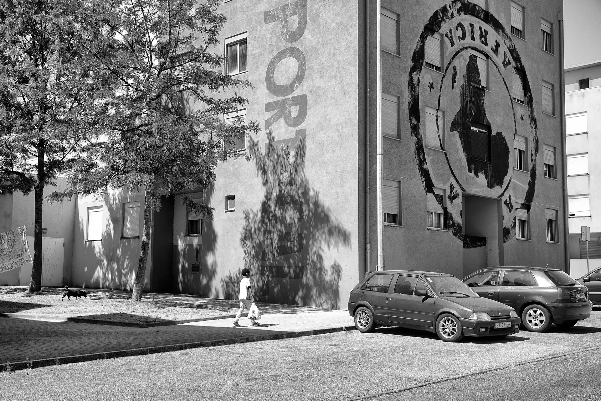 Gonçalo Cunha de Sá