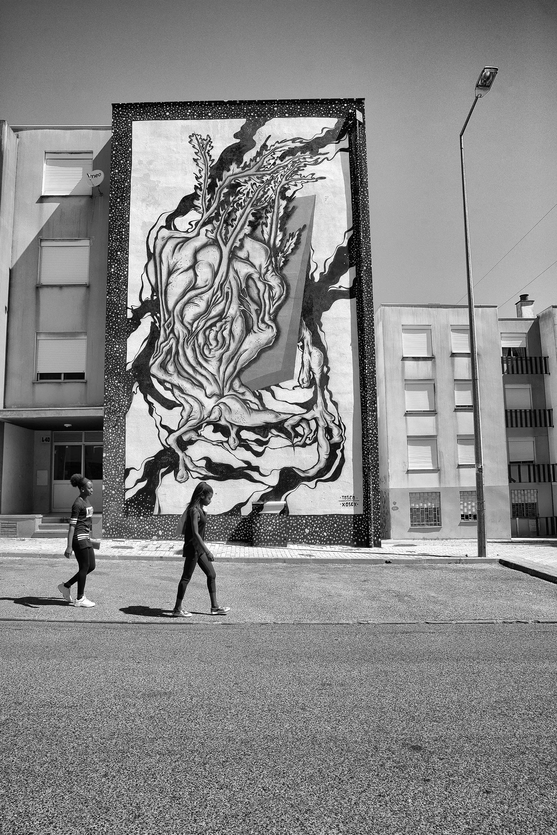 Gonçalo Cunha de Sá