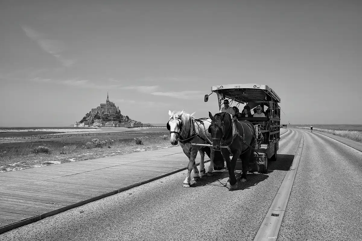 Gonçalo Cunha de Sá