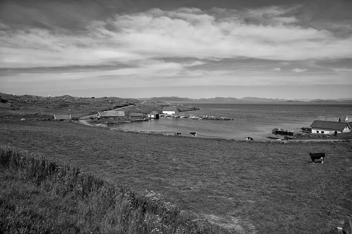 Gonçalo Cunha de Sá