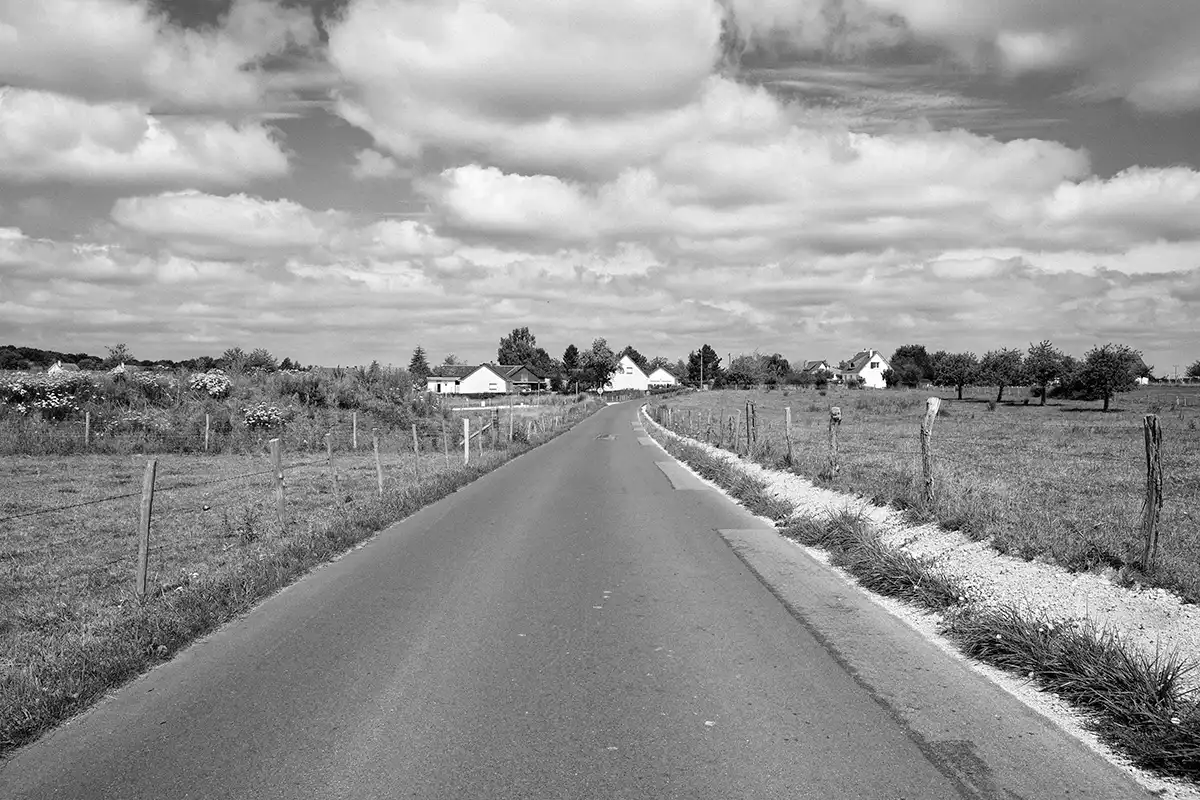 Gonçalo Cunha de Sá