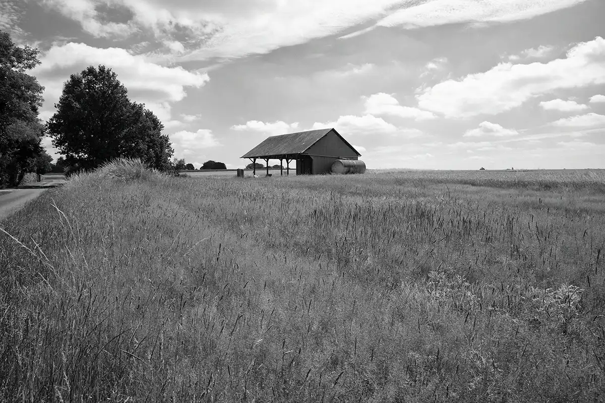 Gonçalo Cunha de Sá