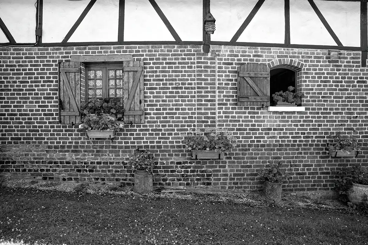 Gonçalo Cunha de Sá