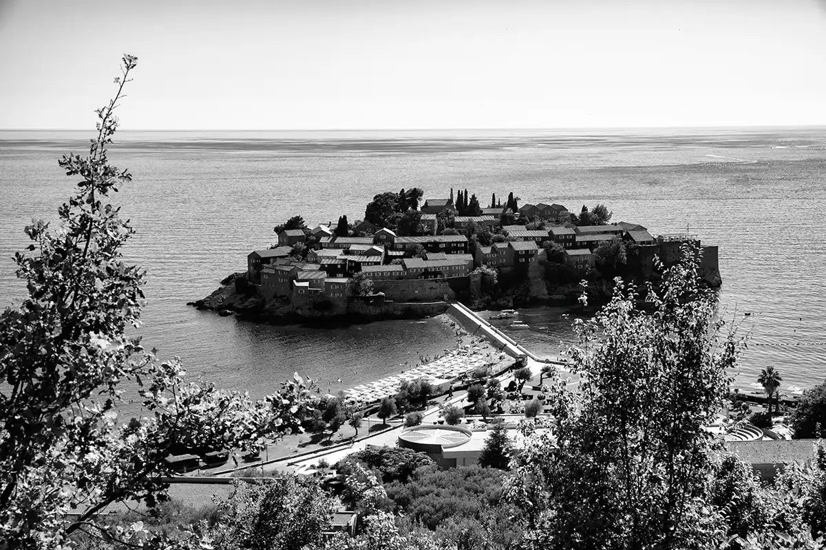 Gonçalo Cunha de Sá